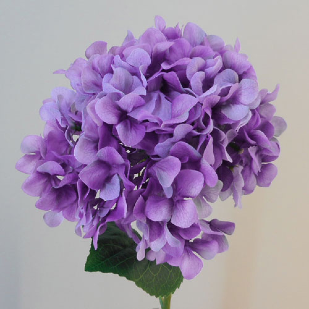 Rydal Artificial Hydrangeas Lavender Purple 53cm Artificial Flowers